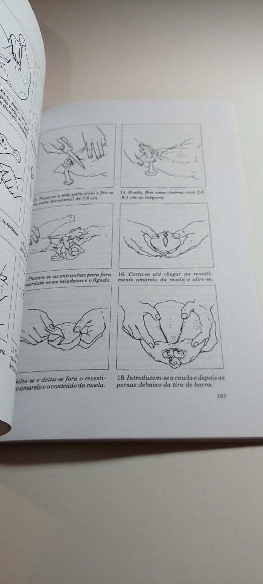 Criação de Aves de Capoeira - Leonard S. Mercia
