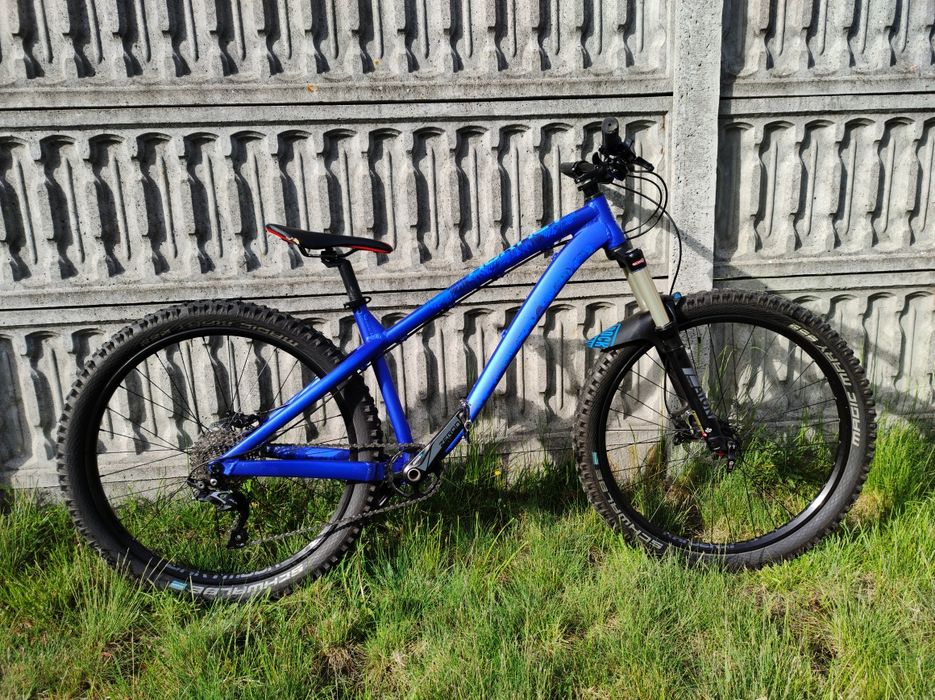 Dartmoor Hornet 2022