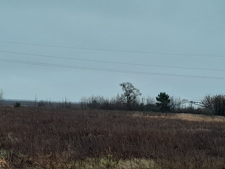 Продам ПАЙ Чорнозем м. Березне  1,41 Га (неподалік траса)