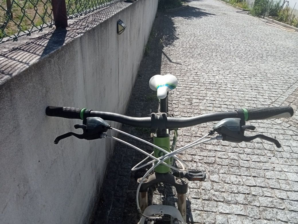 Bicicleta montanha