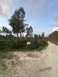 Terreno rustico 10000m2 com 3 frentes