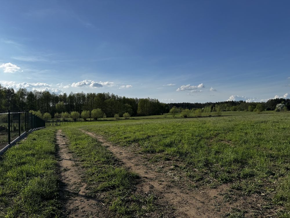 Działki budowlane (bardzo blisko jeziora)