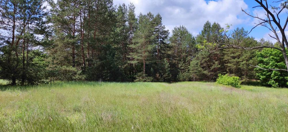 Продається будинок у с.Нечаївка-2