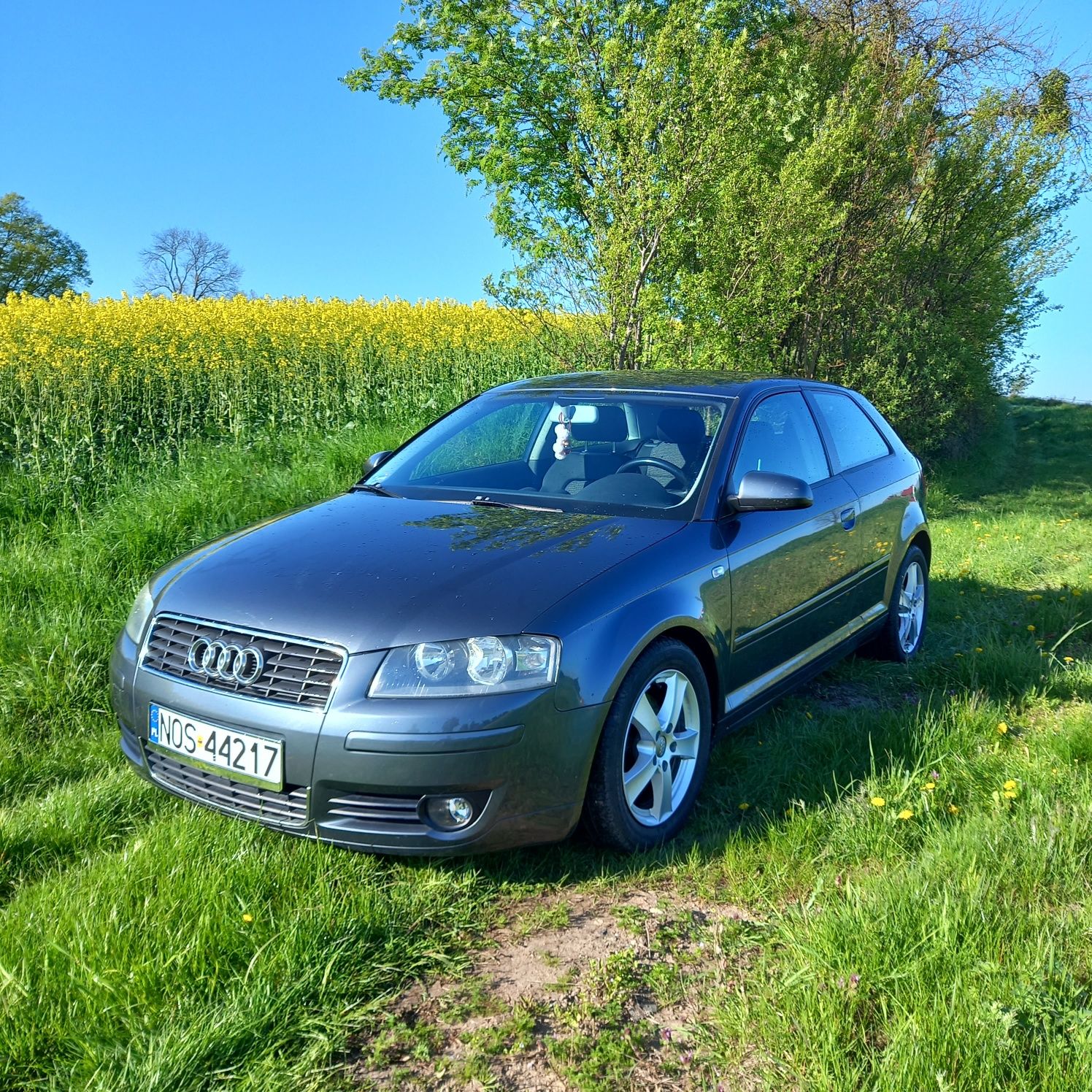 Audi A3 8P 1.6 MPI