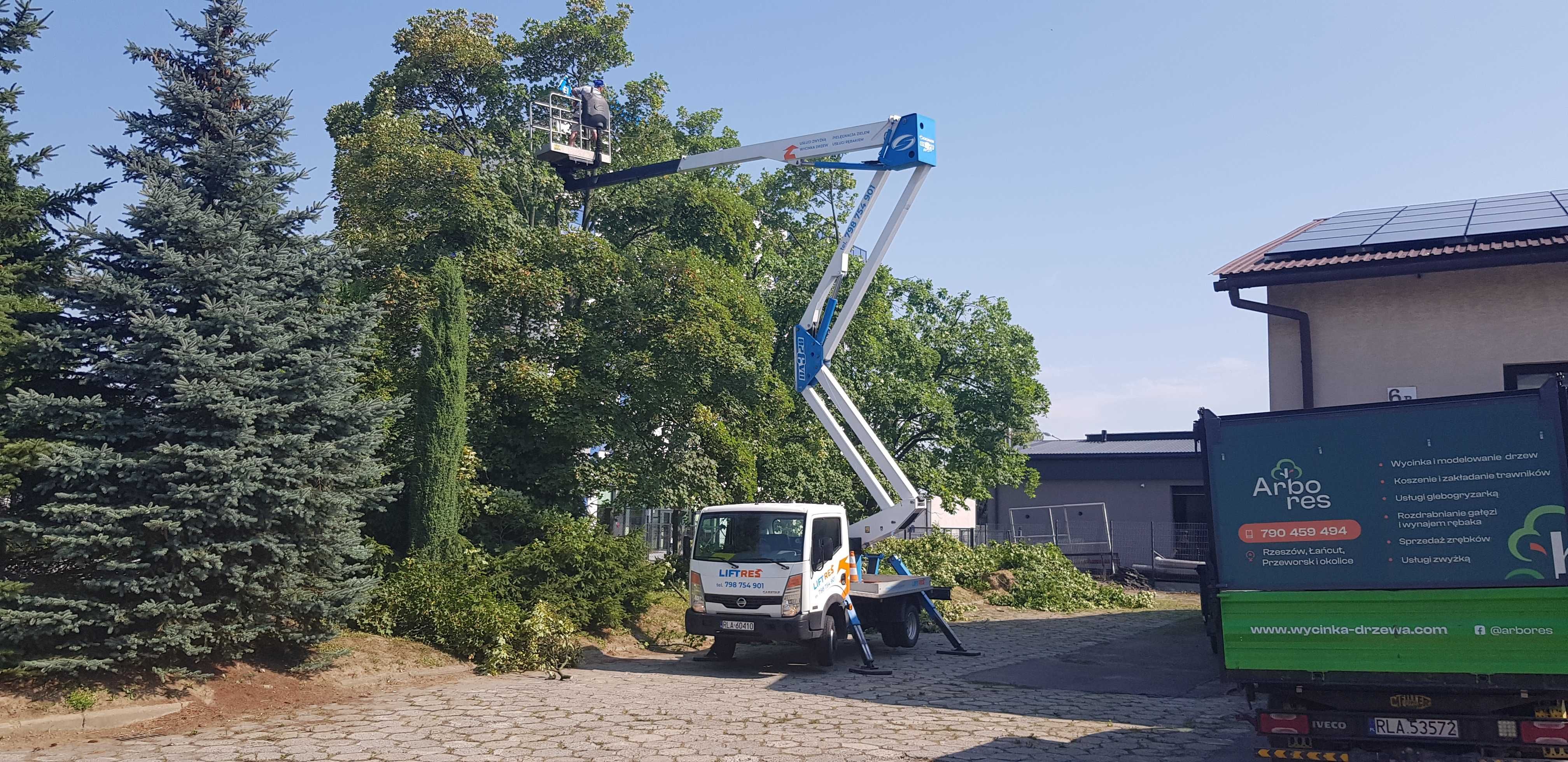 Wycinka drzew i krzewów, frezowanie pni, rębak, mulczer