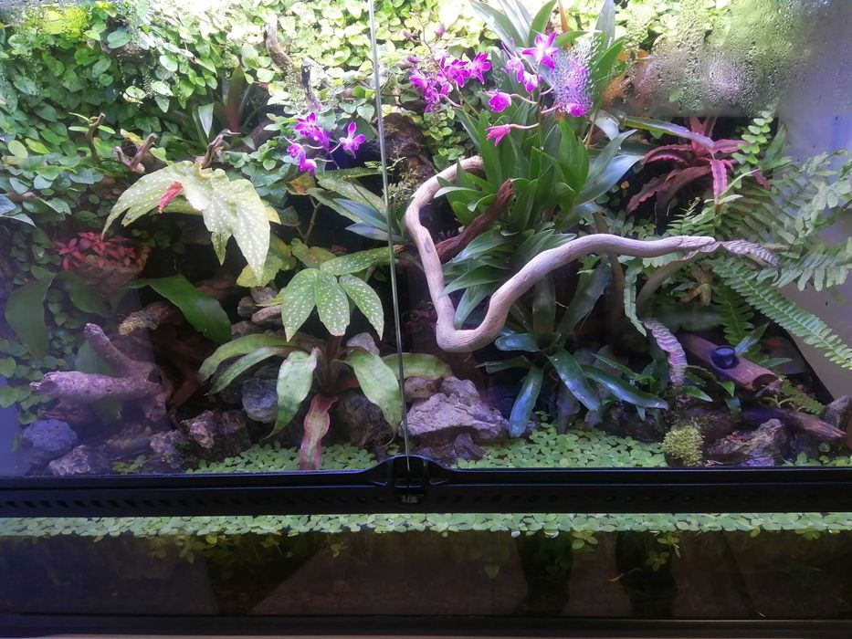 Terrário ExoTerra 90 mais móvel