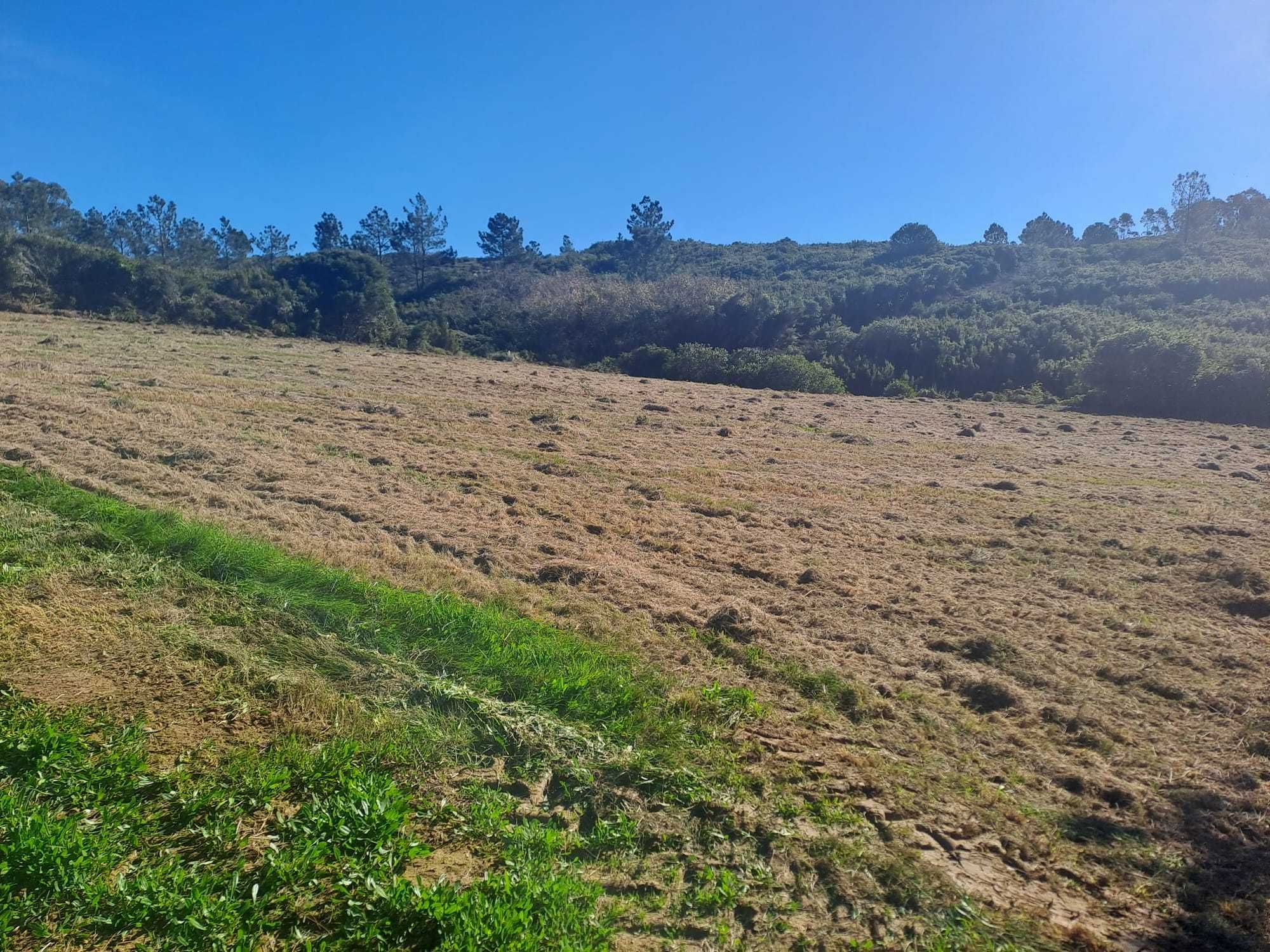 Terreno rústico em Pias Famalicão da Nazaré