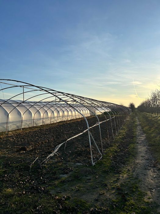 Tunele foliowe, konstrukcja tuneli 7 x 30