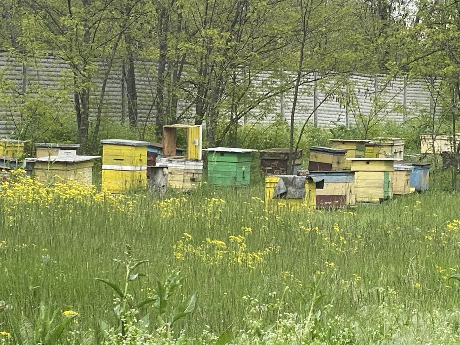 Земельна ділянка 1,05 Га, з будинками, фасад траси, 20 км. від міста.