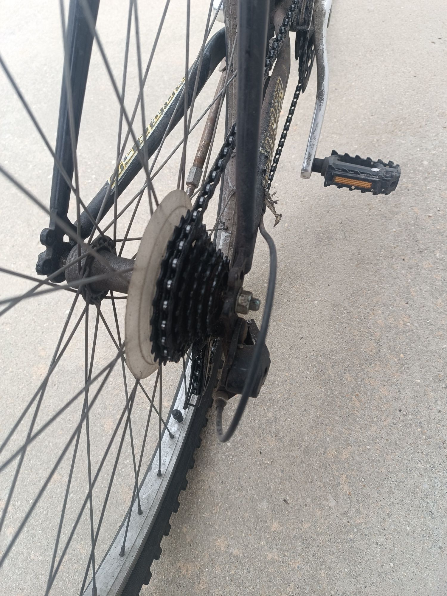 Bicicleta adulto Typhoon