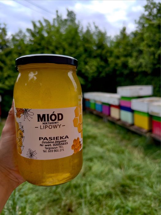Miód lipowy świeży 2025