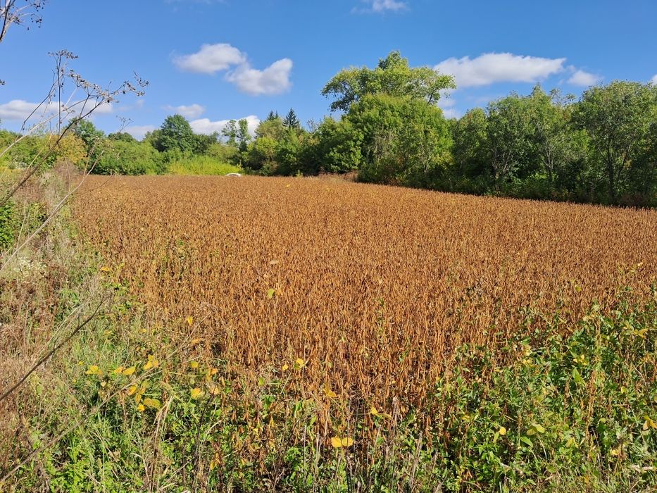 Продам земельну ділянку 8сот під будівництво житлового будинку