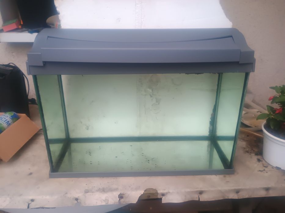 Akwarium 62 L 57x30x36 Tetra