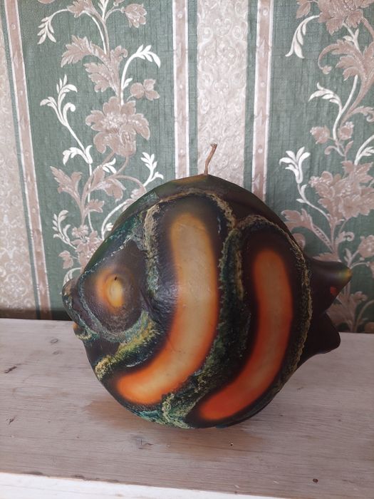 Świeczka duża ryba