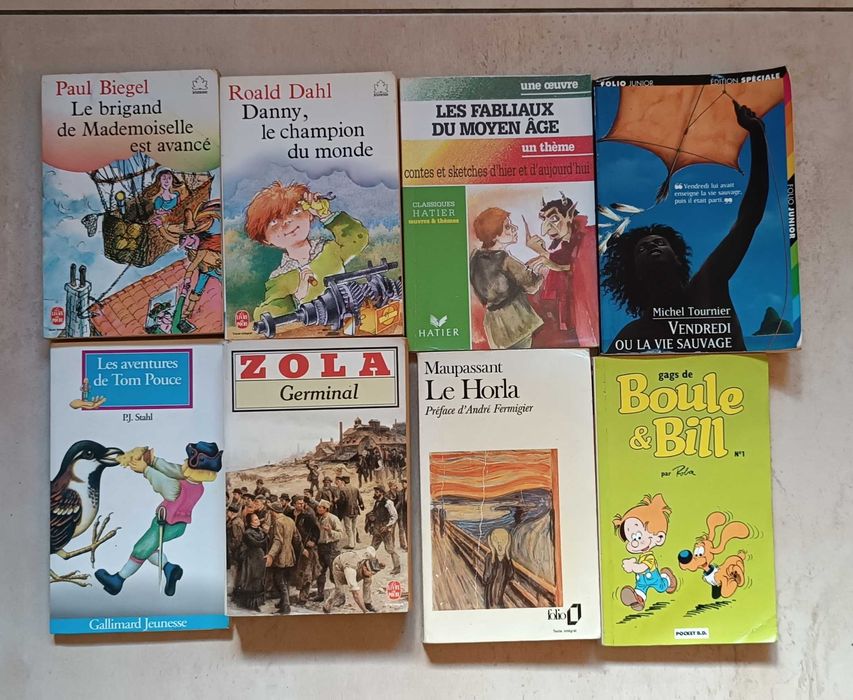 Vários livros em francês