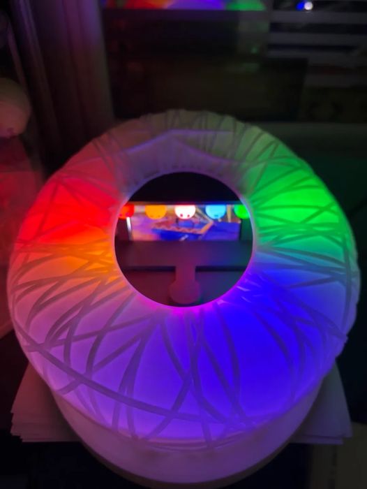 Maqueta de Palco Ninho de Pássaro Mayday