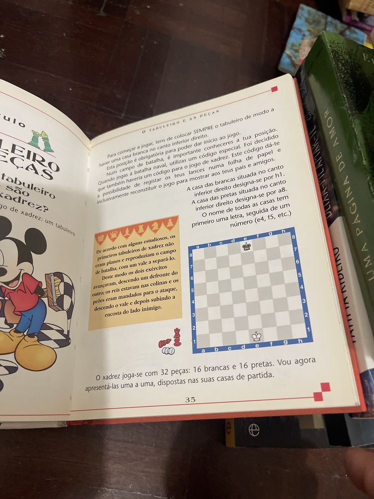 Joga xadrez com Anatoly karpov