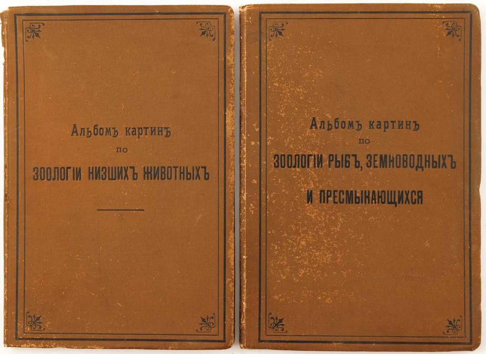 Альбом иллюстраций по зоологии, Bся природа DwaAlbumyCałaPrzyroda 1901