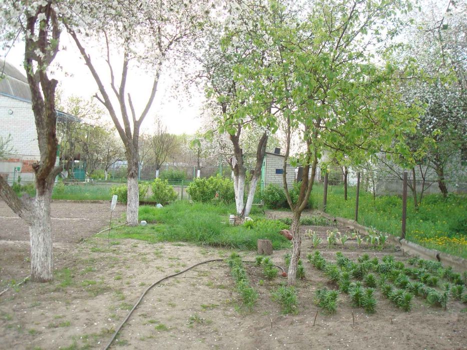 Ділянка біля лісу СТ Прилісся 5.5 соток