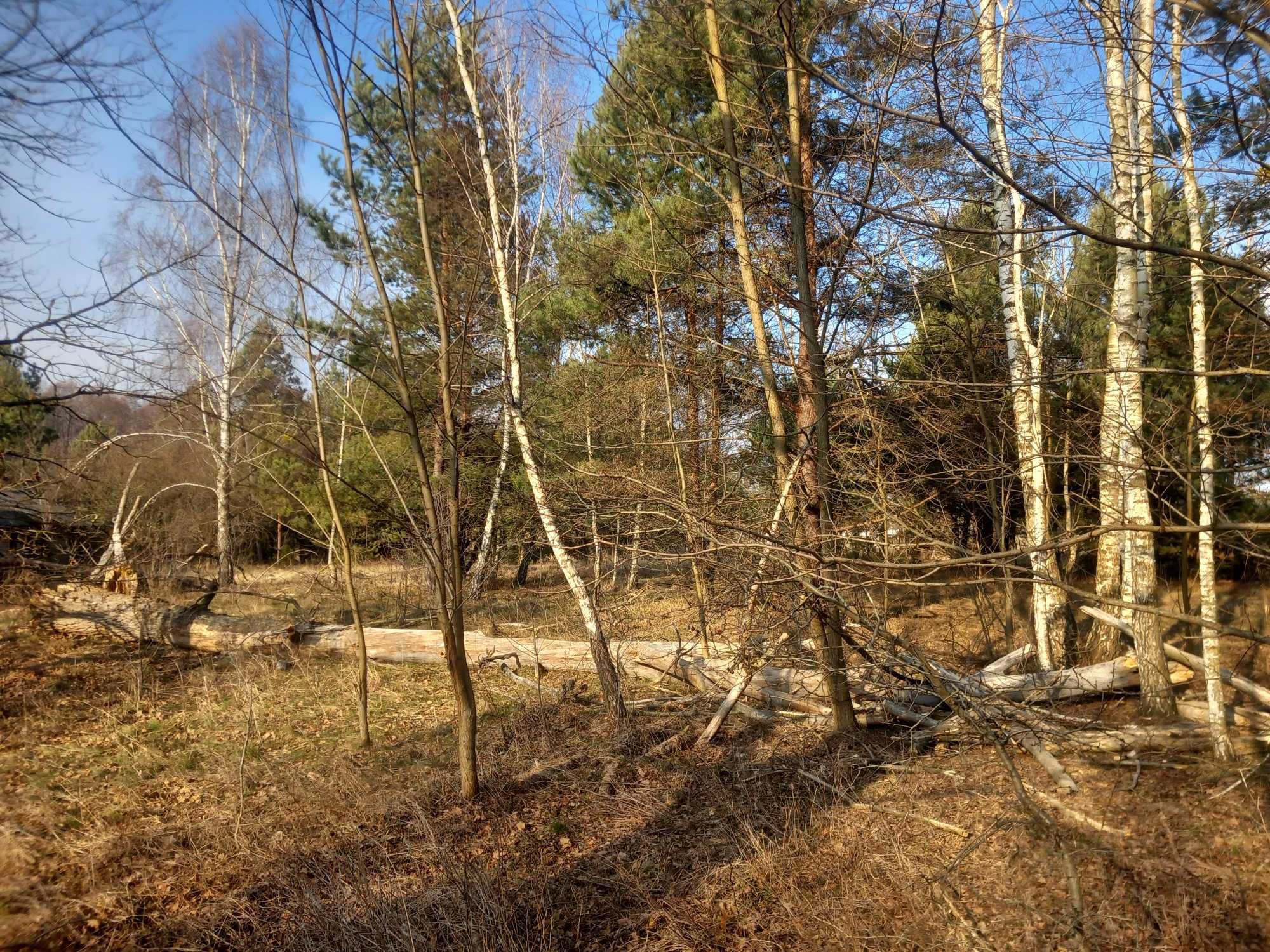 Piękna działka z potencjałem 2,79ha