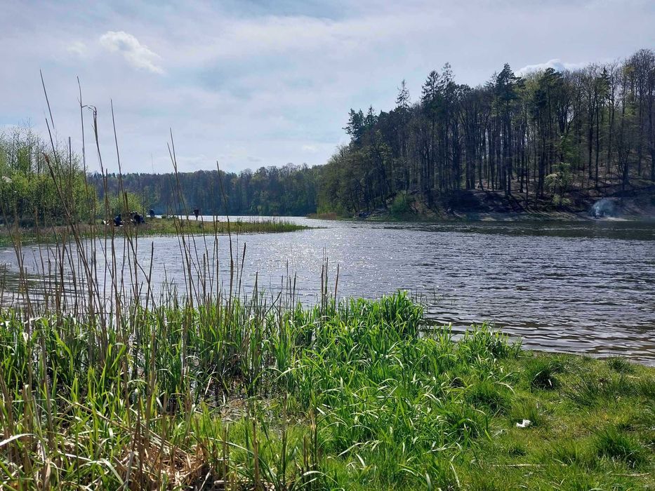 dom Gdańsk Otomin las, jezioro 6 pokoi, sauna