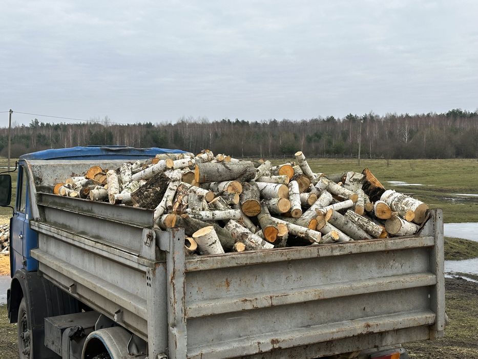Дрова чуркі береза сосна вільха ясен дуб граб