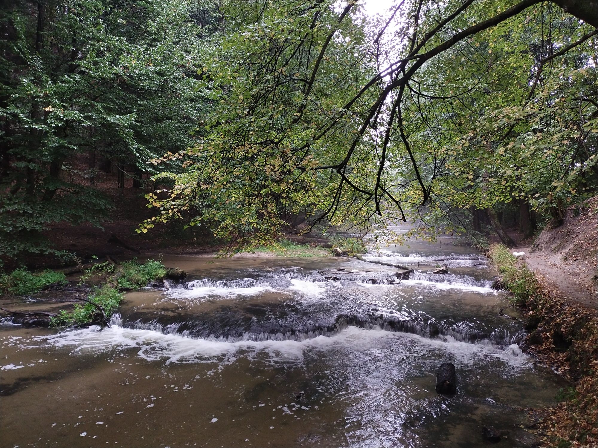 Domek na Szumach u Gargamela