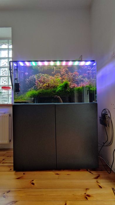Zestaw akwarium Aquel OptiWhite  200L, lampy LED, szafka Aquel