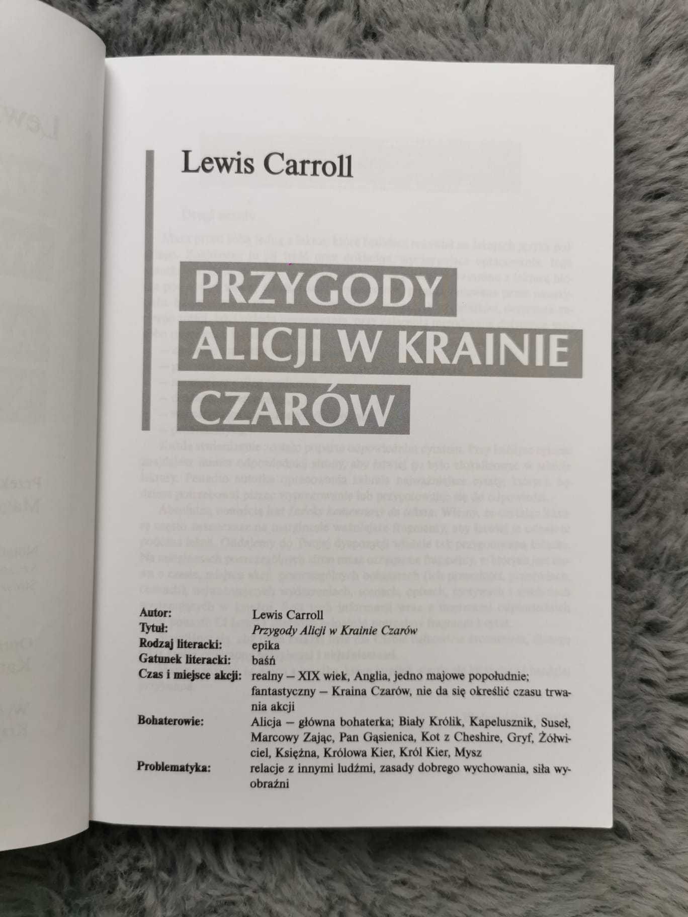 Przygody Alicji w Krainie Czarów, Alicja po drugiej stronie lustra