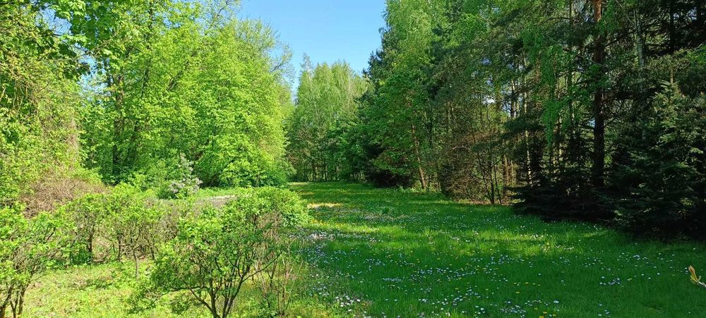 Sprzedam działkę wraz z zabudowaniami. Krzywowierzba