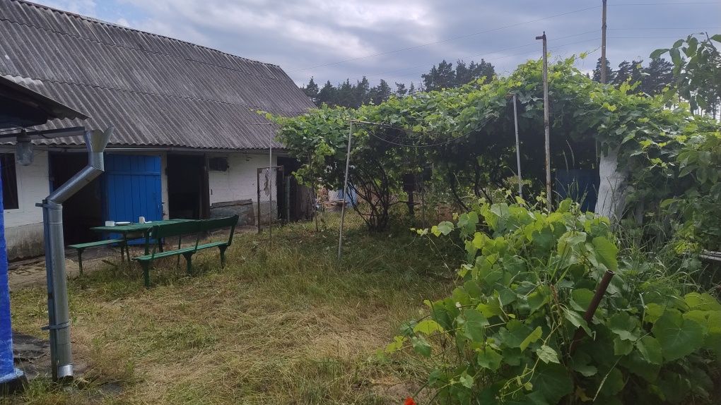 Будинок  смт Корнин. Попільнянський район