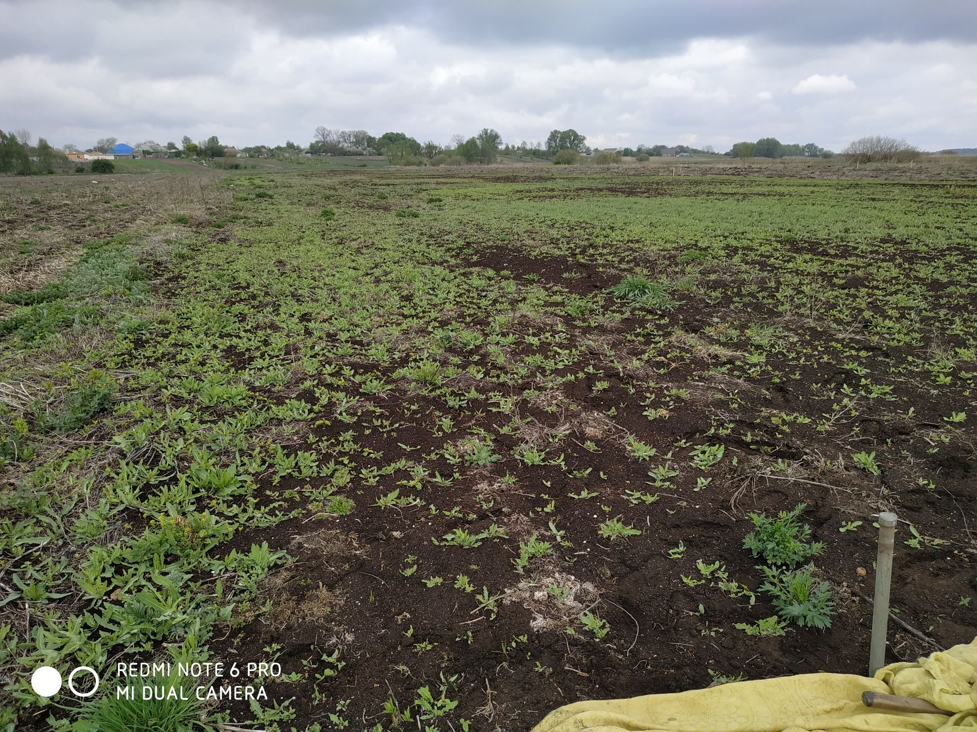 Продам землю с. Светильня