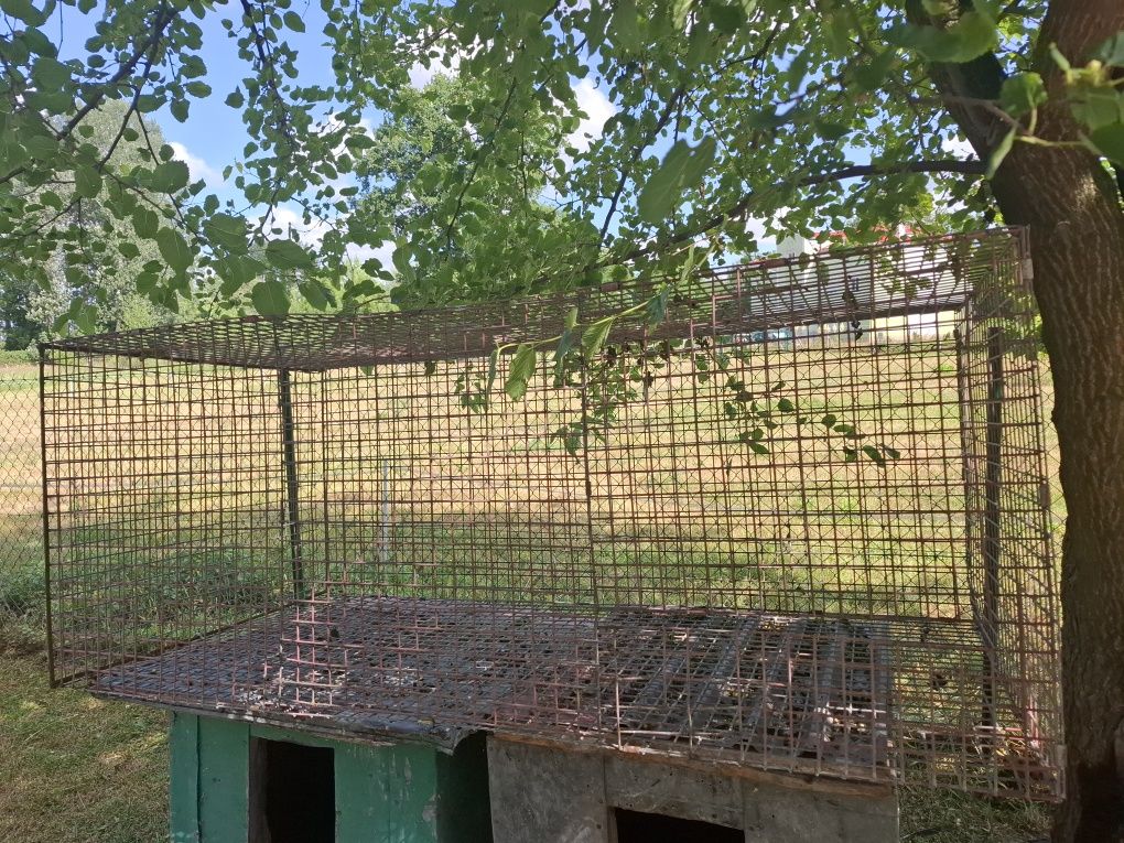 Sprzedam 2 budy dla psa i klatkę
