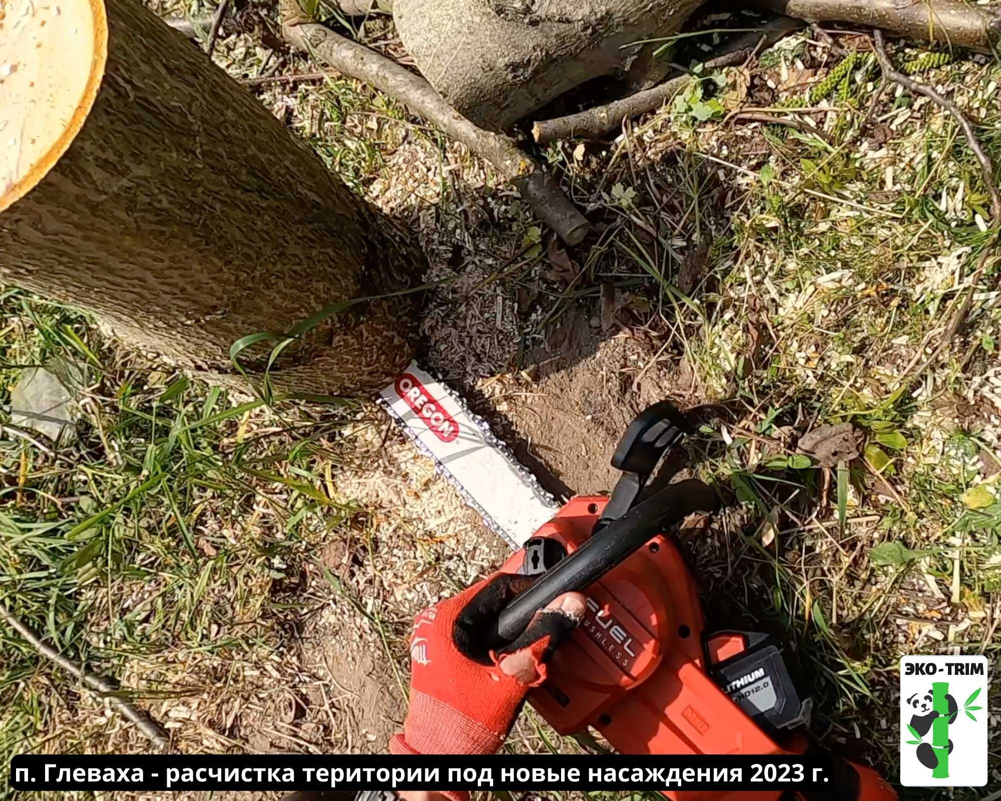 Обрезка деревьев | Прирезка сада | Кронирование | Арбористика