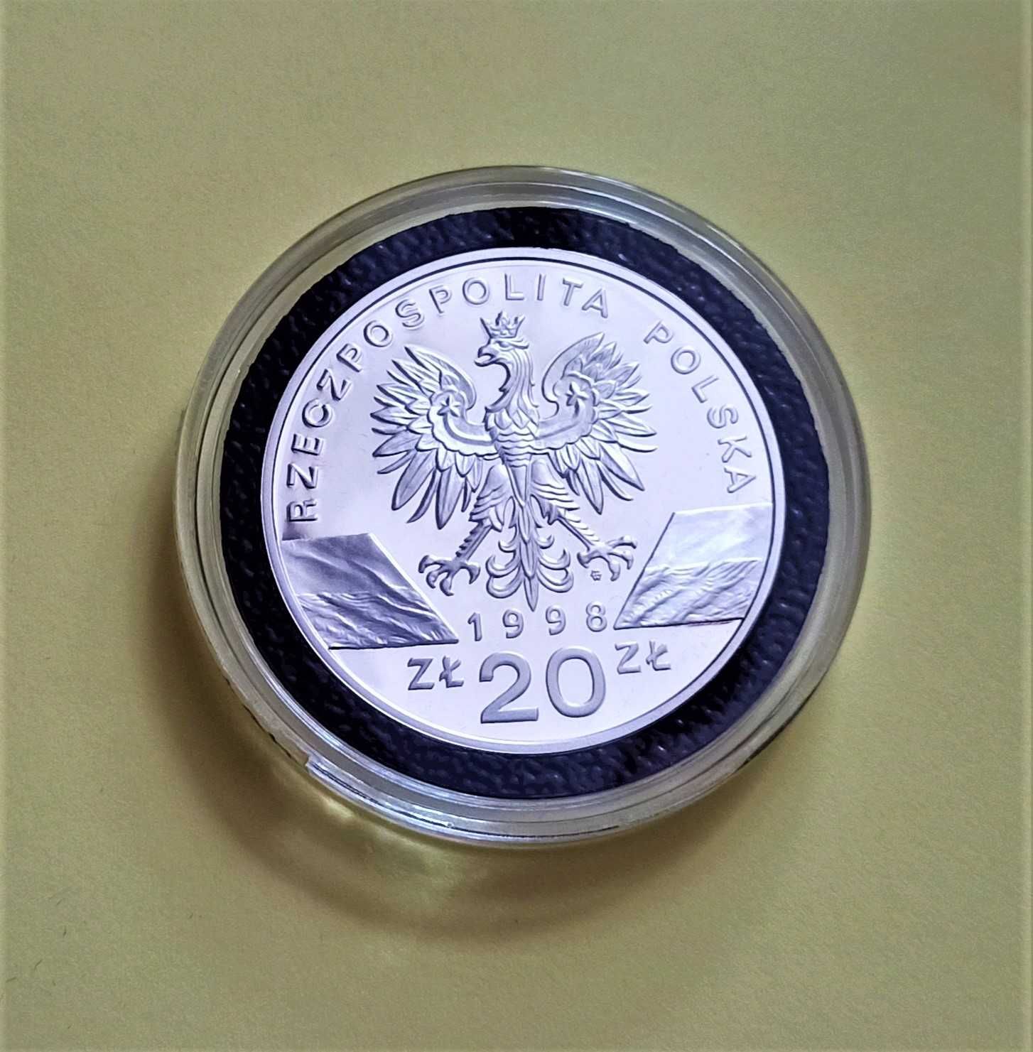 20 zł Ropucha Paskówka 1998 r.