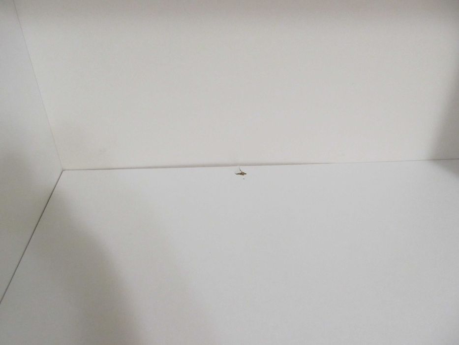 Стеллаж белый торговый офисный 200х120х36 с задней стенкой б/у