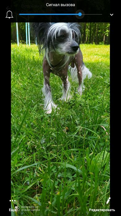 Красавец мужчина