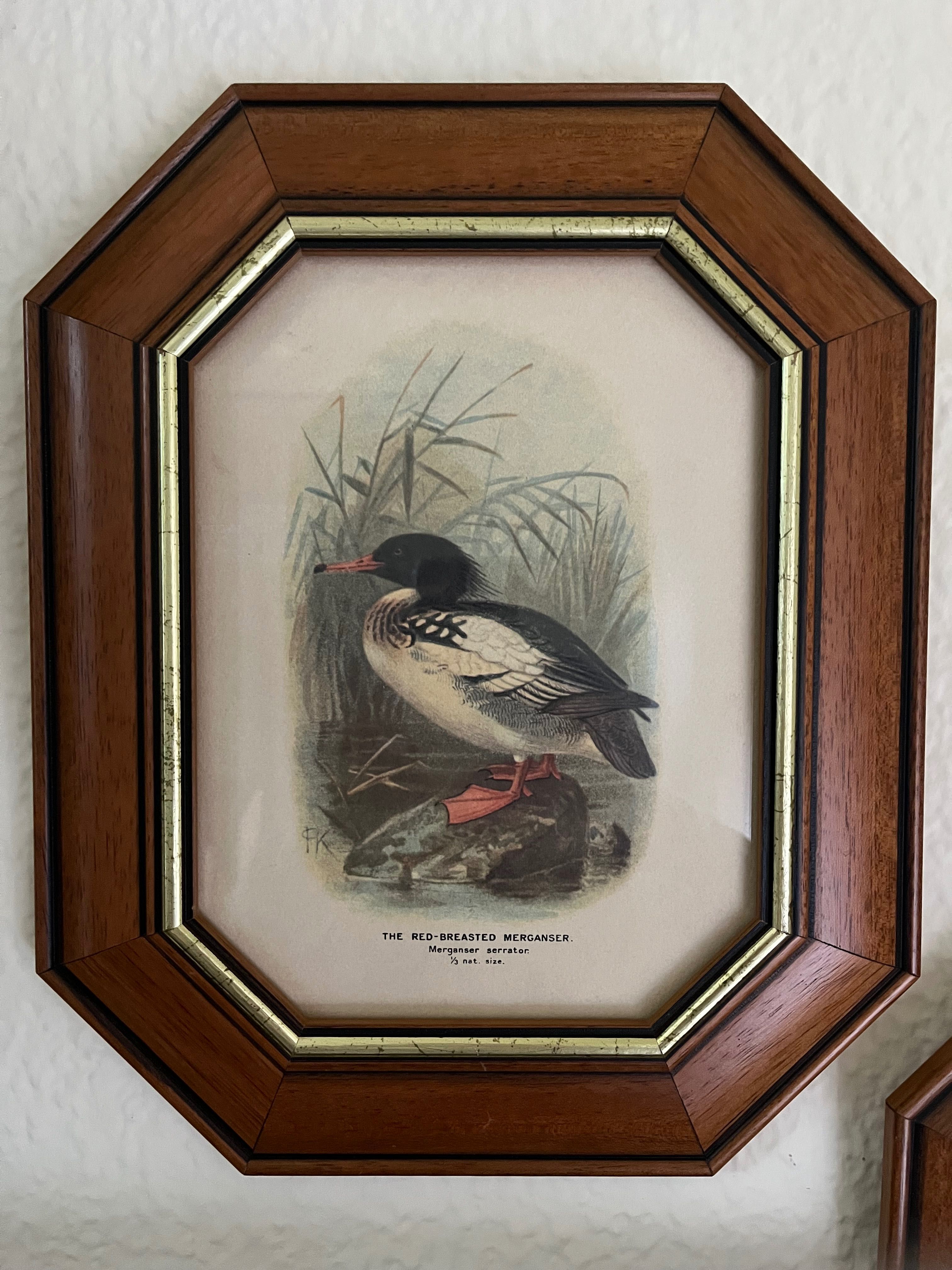 Quadros com moldura de madeira