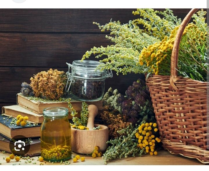 Kuracja ziołowa na ODROBACZANIE Troychatka