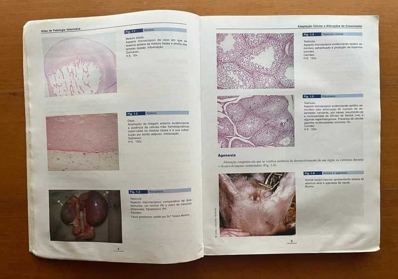 Atlas de Patologia Veterinária - Biopatologia