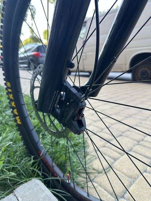 DARTMOOR sparrow intro 2021