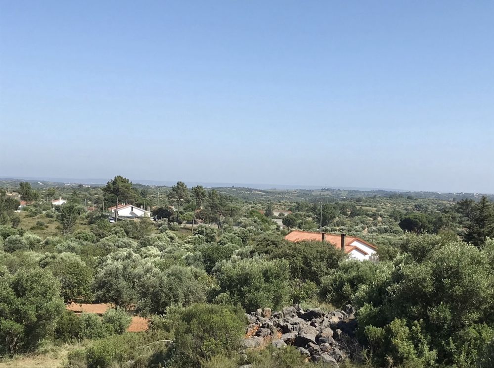 Terreno Rustico - Pedrogao - Serra de Aire e candeeiros