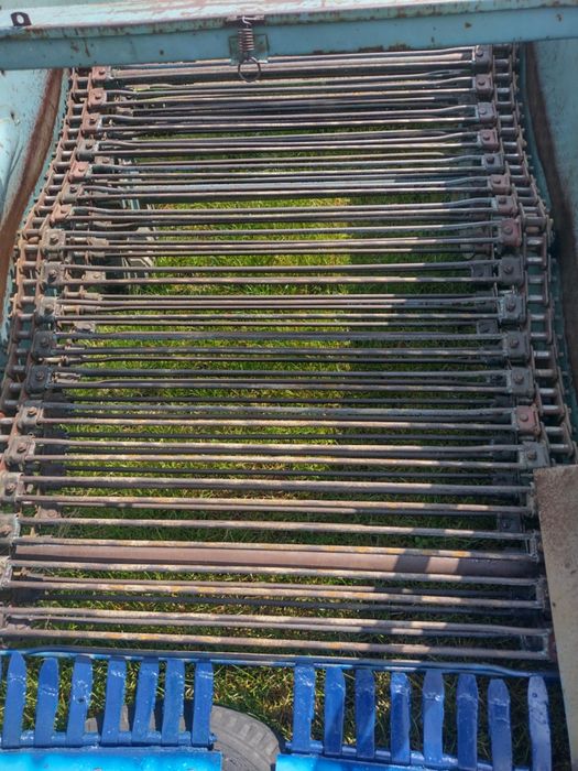 Kopaczka elewatorowa do ziemniaków