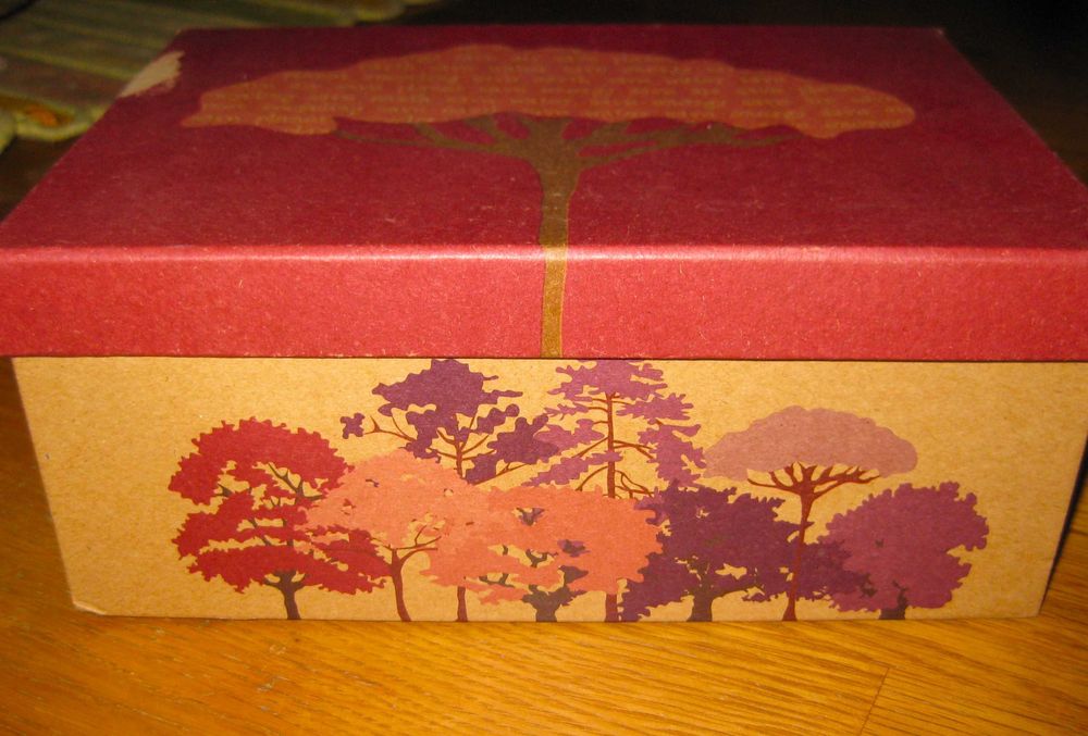 Conjunto de 2 Chávenas Gato Preto: Save the Planet em Caixa original