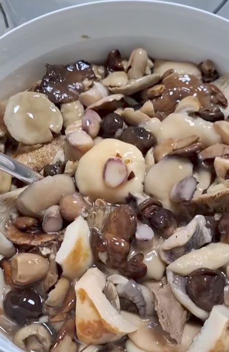 Солені опеньки лисичка маслюк