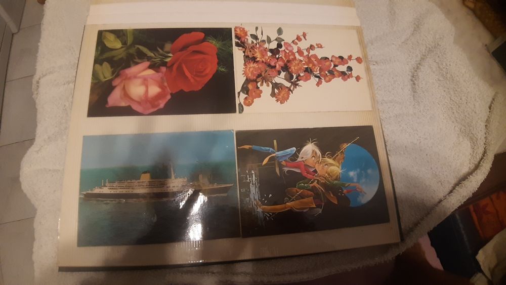 Vendo postais ilustrados para colecionadores  a muito bom preço.