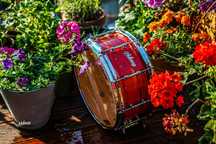 Polmuz model 1 Maple 14x6,5 Snare - Cosmic Red Artist - B-Stock