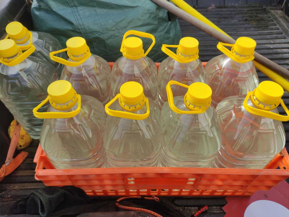 Aguardente de figo, 5 litros