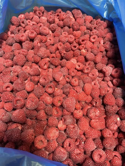 Малина морожена. 90/10