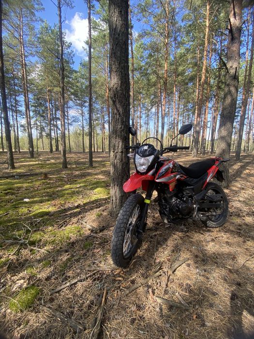 Продам Loncin pruss200